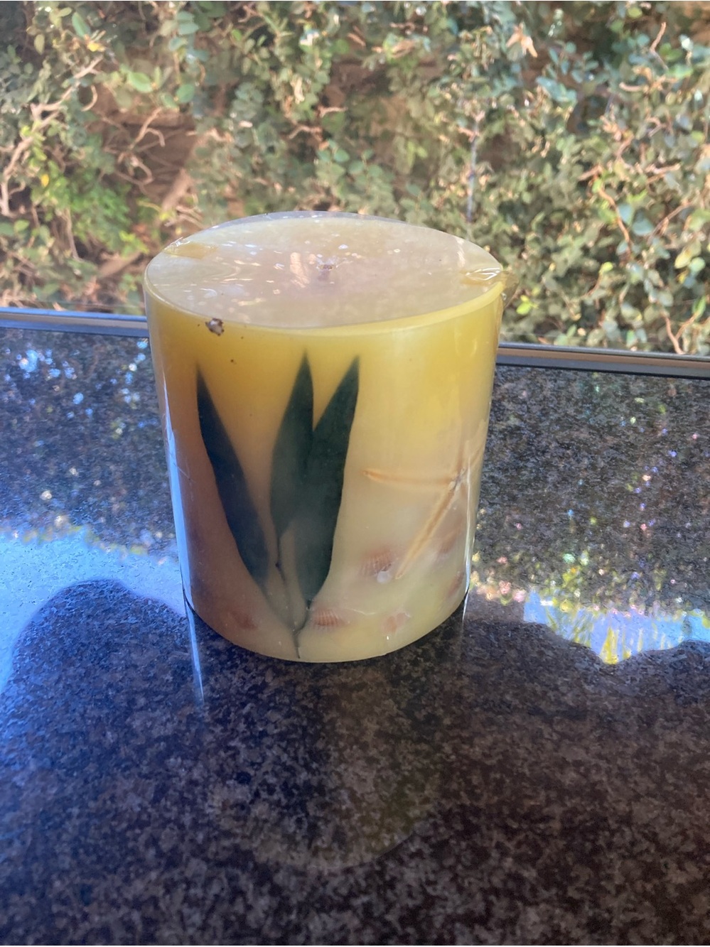 Tommy Bahama Seashell & Green Leaf Inlaid Candle 4x4 1/8.
